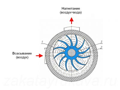 Принцип действия вакуумного насоса ВВН1-1,5.